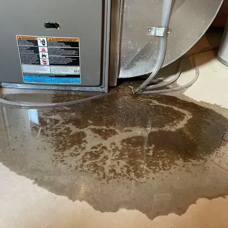 Appliance Leak Cleanup in Wayne County, MO